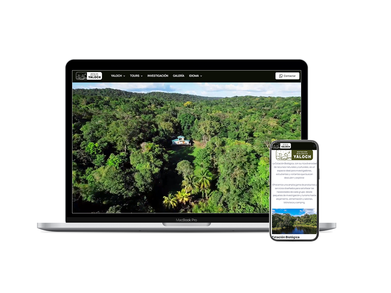 Sitio Web Informativo